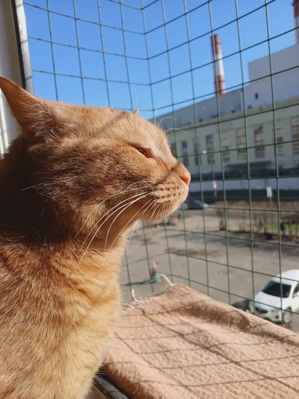 Забронировать на Хорошёво